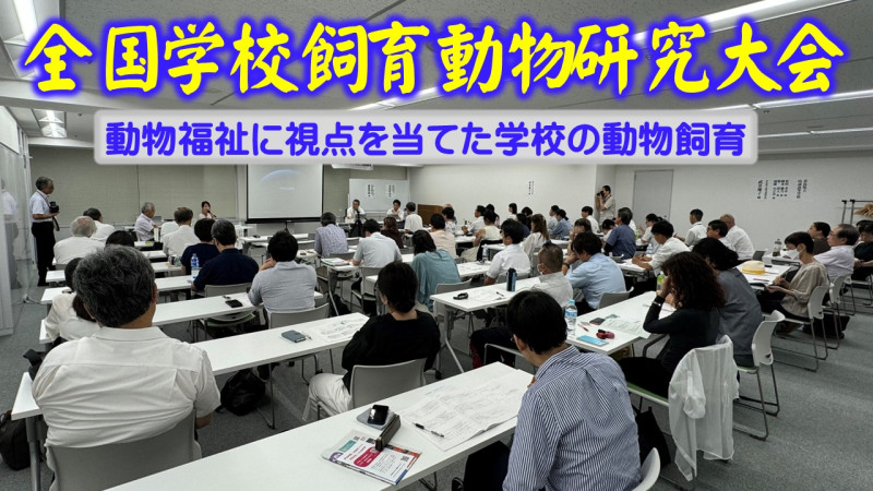 会場
